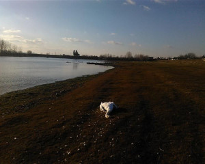 IMG 20161129 141918 1  Custom 