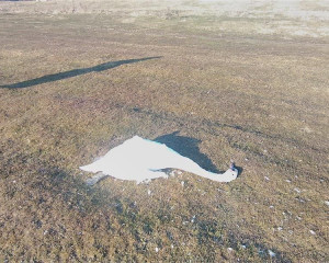 IMG 20161129 141936  Custom 