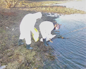 IMG 20161129 142929  Custom 