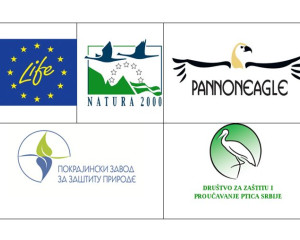 Screenshot 2016 11 28 10.39.35