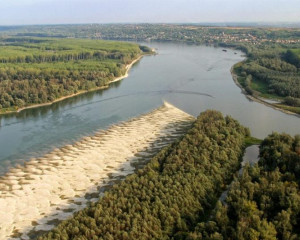 Usce Drave. Foto WWF  Medium 