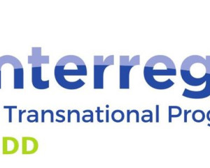 standard logo image   coop MDD  Large 