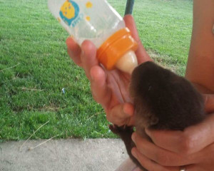 image 0 02 05 90f7e96523d316070901d752fe8af055be904796f297cdd8f475234472665513 V