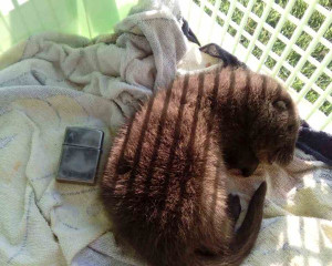 image 0 02 05 d16a16e0367c311d6504bcdf130919d4ed13dff1751cc7bbc0ea56371536ed74 V