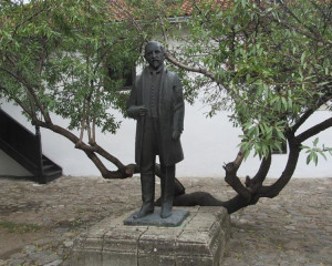 Oliver Fojkar Negotin 2017  2 