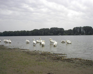 im003325 lidija marinkovic  large 