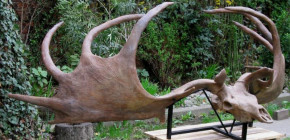 megaloceros1