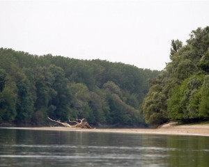 pejsaz 10 vladimir dobretic  large 