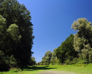 pejsaz 2 vladimir dobretic  large 