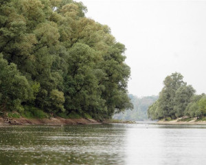 pejsaz 9 vladimir dobretic  large 