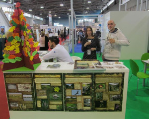 LORIST 2017 PZZP  11a   Medium 