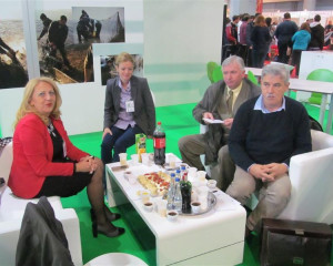 LORIST 2017 PZZP  17a   Medium 