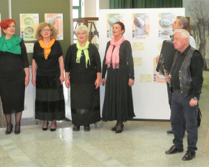 NOVI SAD 20.10.21017  5   Medium 