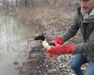 20180210 130525  Medium 