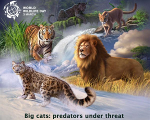 25505866647 5589e584b2 o  Medium 