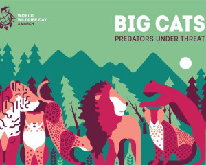 39570606364 19e25ff511 o  Medium 