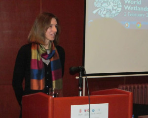 DAN RAMSARA 2.2.2018  2 