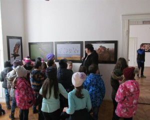 NM KIKINDA 2.2.18  2 