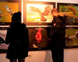 Priroda Vojvodine  9 