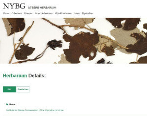 Screenshot 2018 02 23 14.43.15