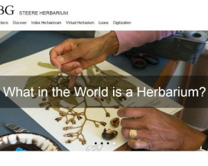 Screenshot 2018 02 23 14.43.58