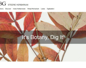 Screenshot 2018 02 23 14.44.14