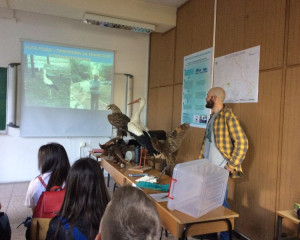 IMG 8fd00cd782656009c22c4df318d2121d V