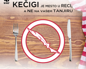  keigi je mesto u reci  a ne vaem tanjiru  