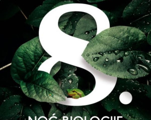 img 20381d0d800080969d16a908f3077a7b v