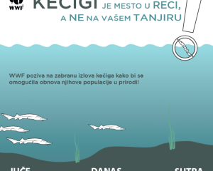 wwf kampanja za  zatitu keige