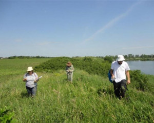 panonska lesna stepa 02