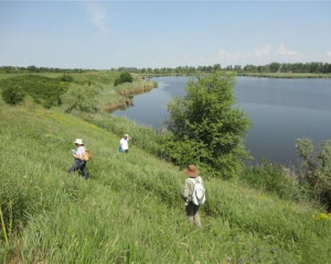 panonska lesna stepa 03