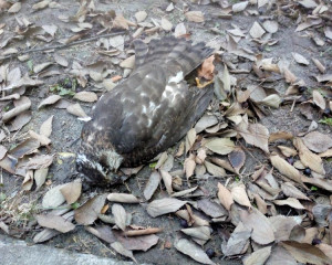 IMG 20181229 160049903