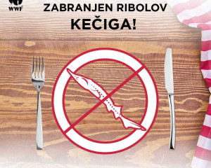 zabranjen ribolov keiga 1