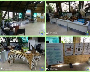 pixlr 20190305165039854  Large 