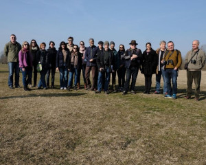 sava ties green ring 01