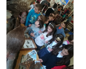 20190411 130817 0001