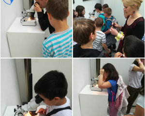 20190528 110028 0000  Medium 