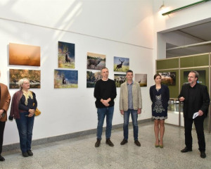 DAN PZZP G.MULIC   14   Large 