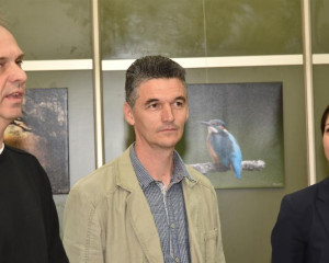 DAN PZZP G.MULIC   16   Large 