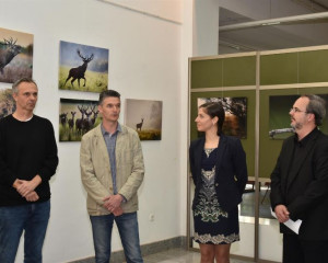 DAN PZZP G.MULIC   17   Large 