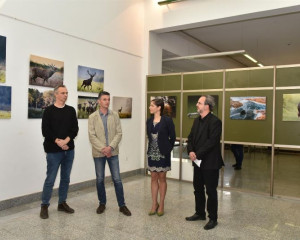 DAN PZZP G.MULIC   18   Large 