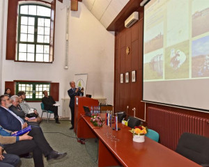 DAN PZZP G.MULIC   7   Large 