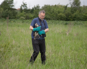 STEPSKI SOKO PZZP O  10 