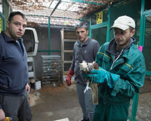 STEPSKI SOKO PZZP O  1 