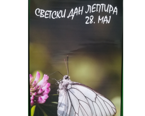 20190528 140658 0000  Medium 