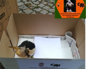 20190709 141909 0000  Large 