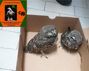 20190709 141944 0000  Large 