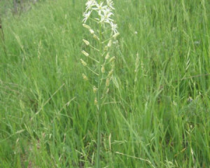 img 0671vidastojsic  large 