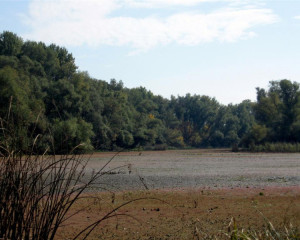 img 4548 biljana panjkovivc  large 